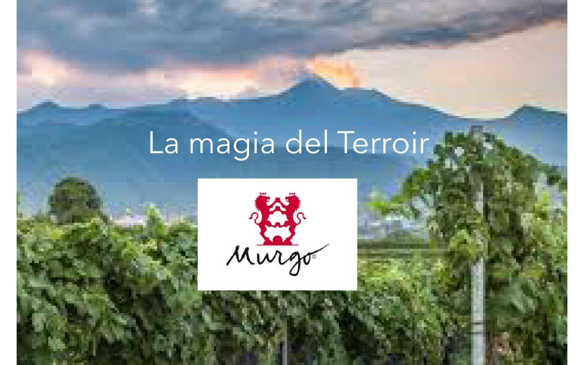 MURGO: “LA MAGIA DEL TERROIR”