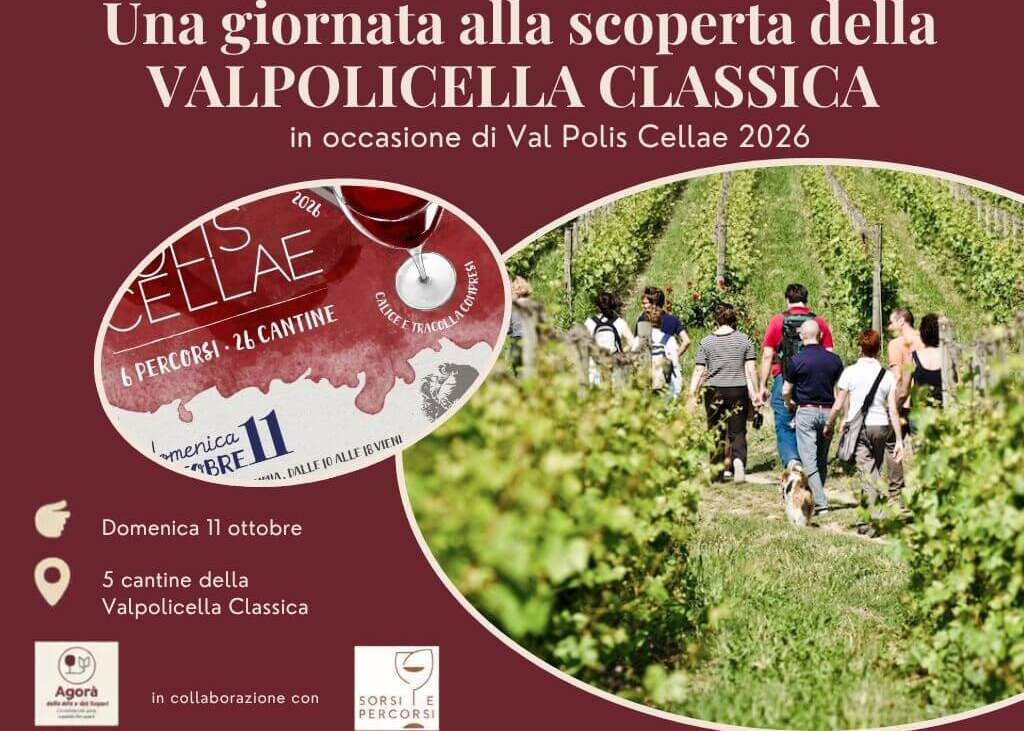 VALPOLICELLA: UNA GIORNATA TRA CANTINE E TERRITORI