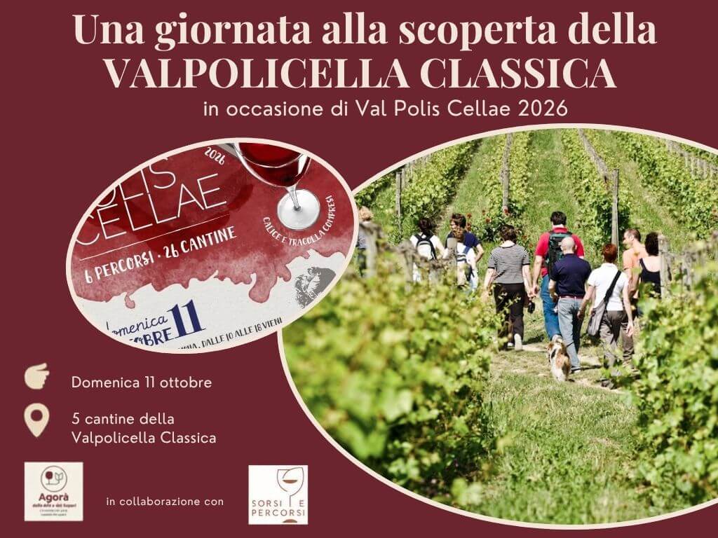 VALPOLICELLA TRA CANTINE E TERRITORI